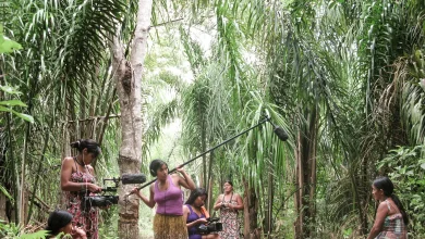 Amazônia e direitos indígenas concentram divergências nos planos de governo para a presidência