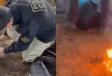 Cabrobó tem quase uma tonelada de drogas destruída pela polícia no Sertão