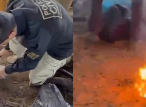Cabrobó tem quase uma tonelada de drogas destruída pela polícia no Sertão