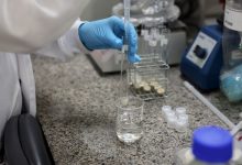 Doença de Newcastle em Santa Catarina avança com protocolos de contenção