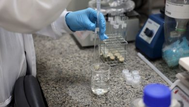 Doença de Newcastle em Santa Catarina avança com protocolos de contenção