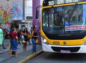 Eleições 2026: ônibus gratuito dobra demanda de passageiros na Região Metropolitana do Recife