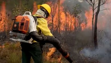 Eleições colocam em debate propostas para cidades e controle de queimadas