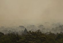 Força Nacional do SUS instala base no Amazonas para atender vítimas de incêndios