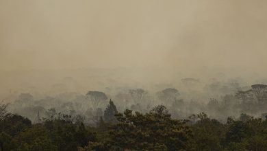 Força Nacional do SUS instala base no Amazonas para atender vítimas de incêndios