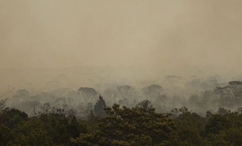 Força Nacional do SUS instala base no Amazonas para atender vítimas de incêndios