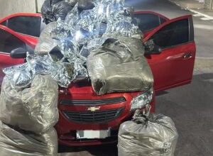 Polícia apreende mais de cem quilos de maconha em carro abandonado no Sertão